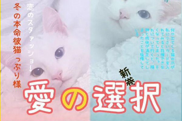 濑户字体效果预览